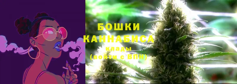 Бошки Шишки THC 21%  mega ссылки  Железногорск-Илимский 